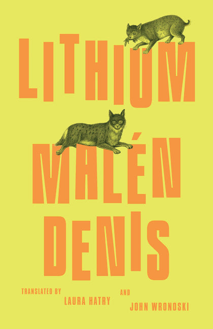 Book cover for Lithium