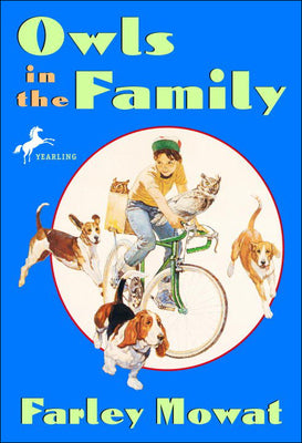 Book cover for Owls in the Family