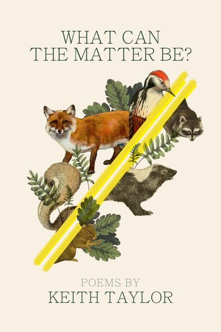 Book cover for What Can the Matter Be?