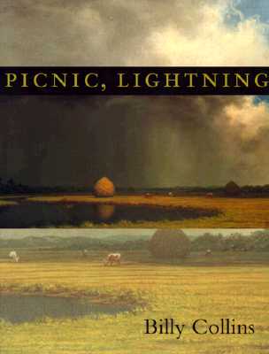 Book cover for Picnic, Lightning