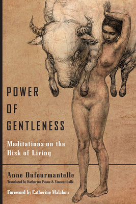 Book cover for Power of Gentleness: Meditations on the Risk of Living