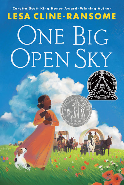 Book cover for One Big Open Sky