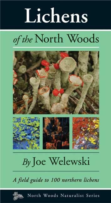 Book cover for Lichens of the North Woods
