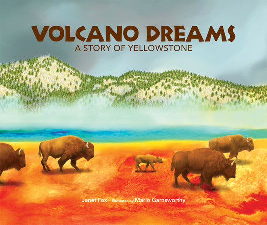 Book cover for Volcano Dreams: A Story of Yellowstone