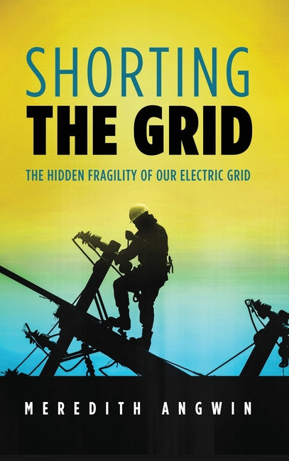 Book cover for Shorting the Grid: The Hidden Fragility of Our Electric Grid