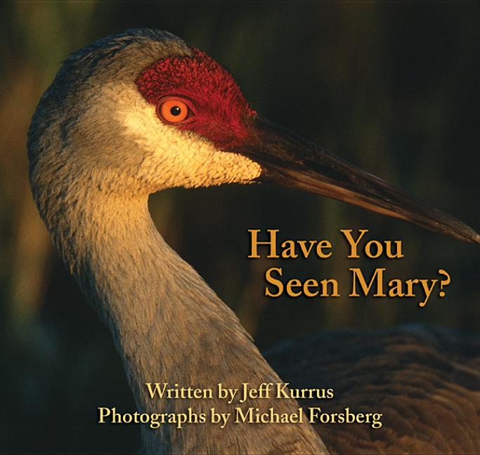 Book cover for Have You Seen Mary?