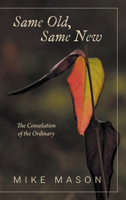 Book cover for Same Old, Same New: The Consolation of the Ordinary