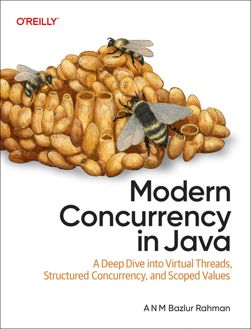 Image for variant 9781098165413