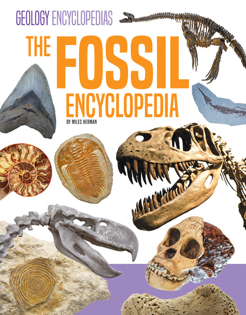 Book cover for Fossil Encyclopedia