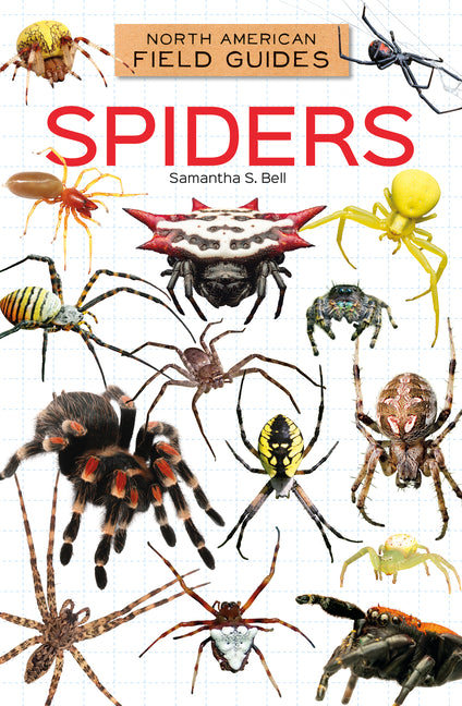 Book cover for Spiders