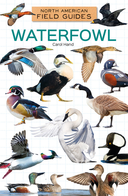 Book cover for Waterfowl