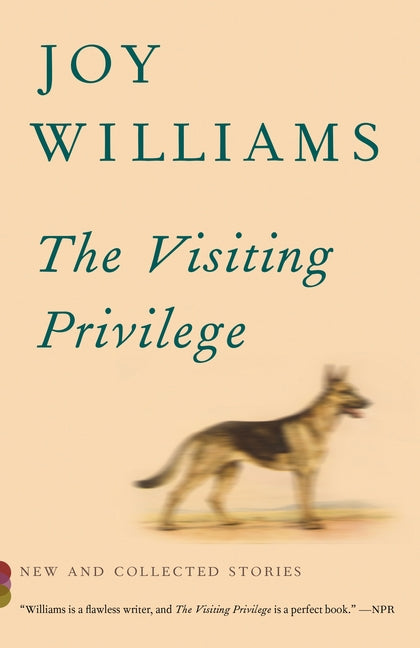 Book cover for The Visiting Privilege: New and Collected Stories
