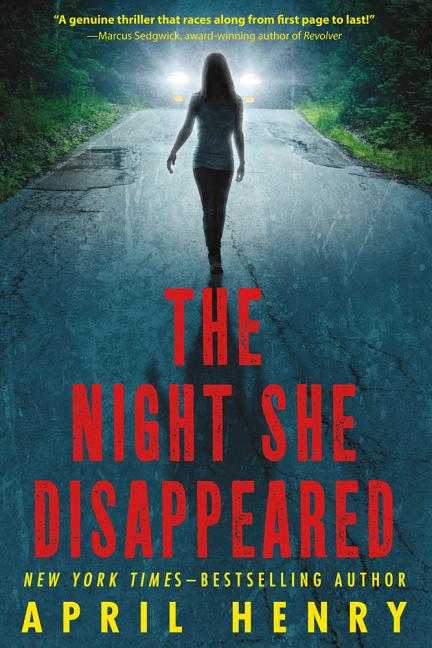 Book cover for Night She Disappeared