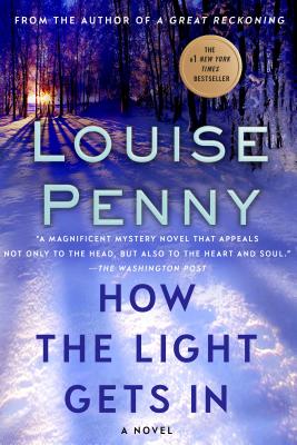 Book cover for How the Light Gets in