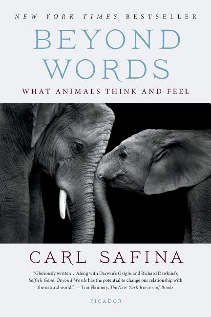 Book cover for Beyond Words: What Animals Think and Feel
