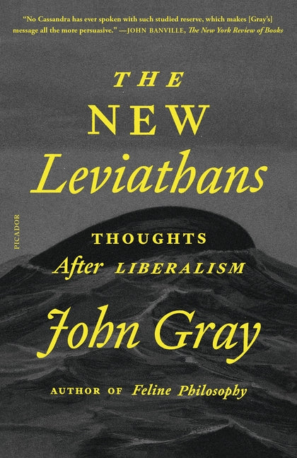 Book cover for New Leviathans: Thoughts After Liberalism