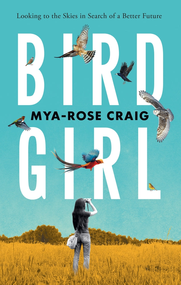 Book cover for Birdgirl: Looking to the Skies in Search of a Better Future