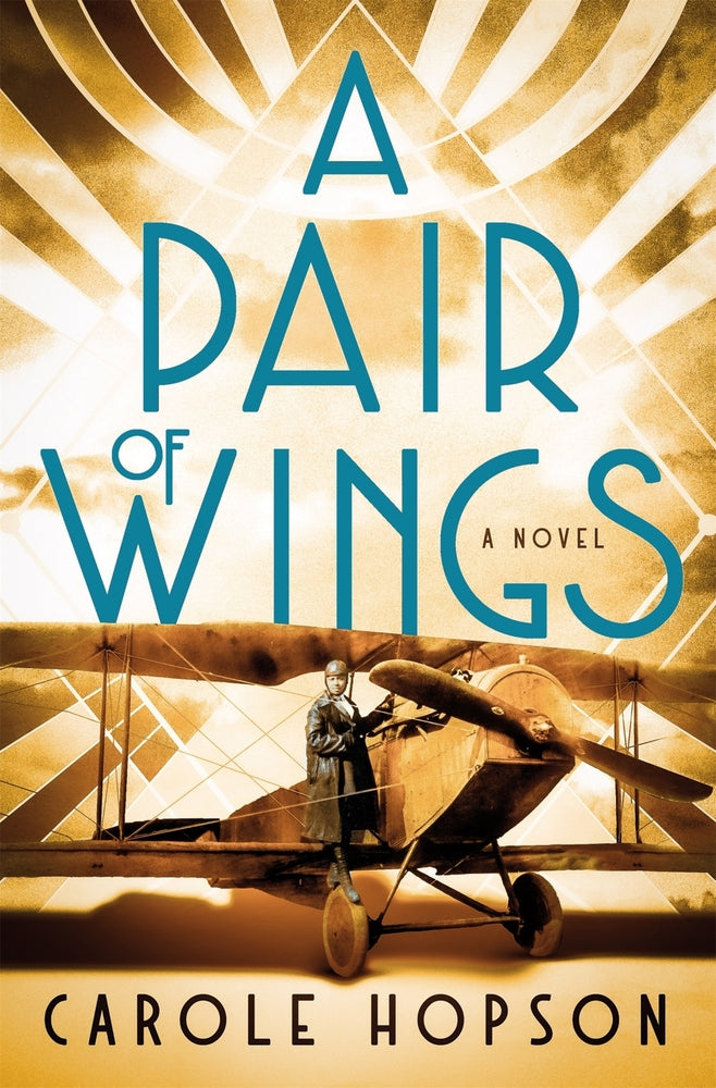Book cover for A Pair of Wings