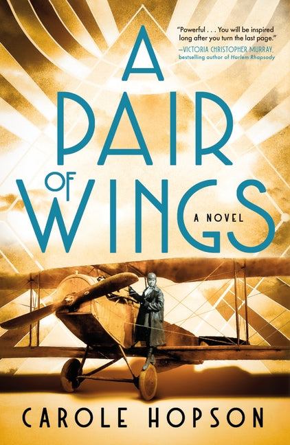 Book cover for Pair of Wings