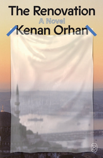 Book cover for Renovation