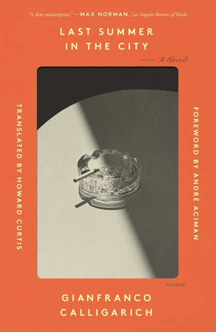 Book cover for Last Summer in the City