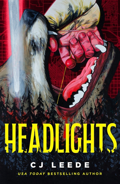 Book cover for Headlights