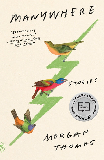 Book cover for Manywhere: Stories