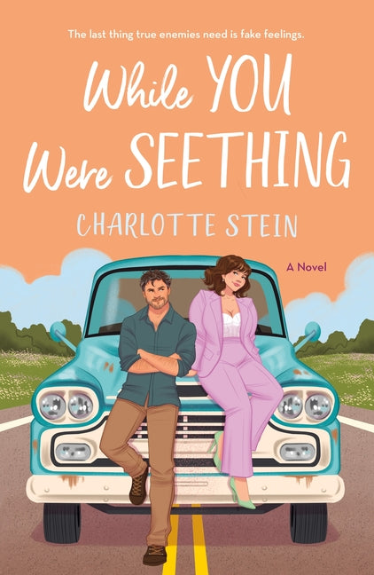Book cover for While You Were Seething