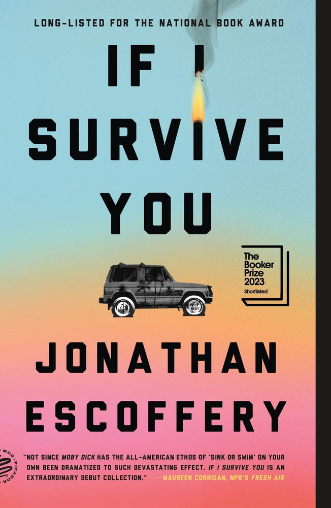 Book cover for If I Survive You