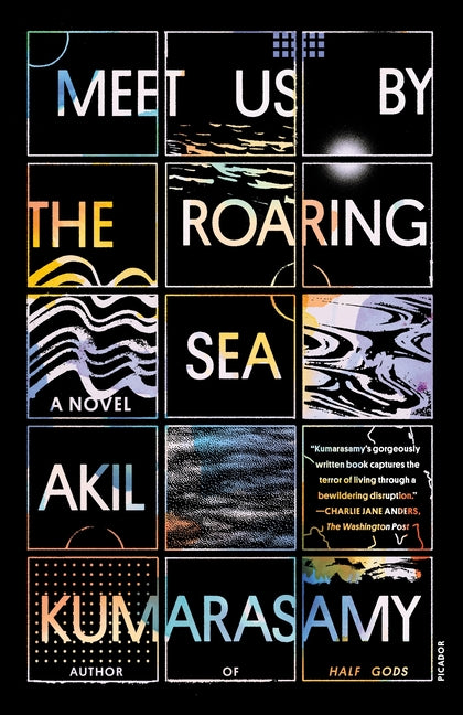 Book cover for Meet Us by the Roaring Sea