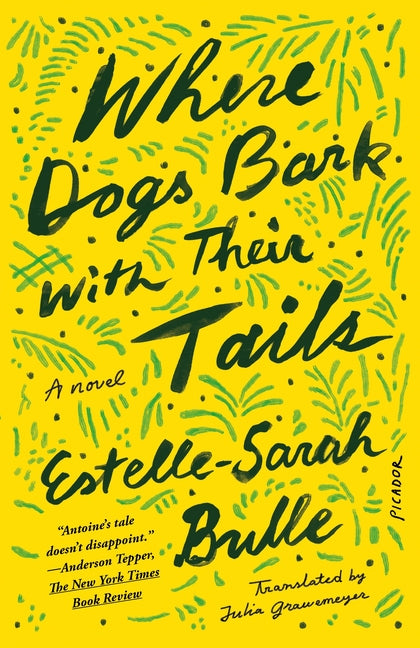 Book cover for Where Dogs Bark with Their Tails