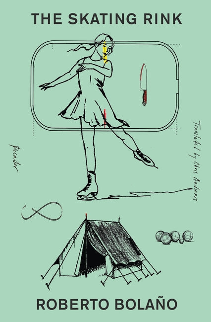 Book cover for Skating Rink