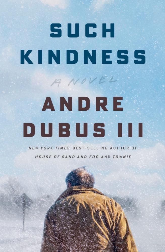 Book cover for Such Kindness