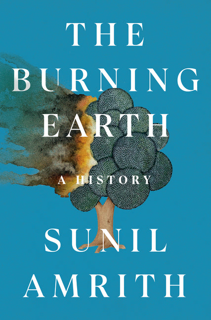 Book cover for Burning Earth: A History