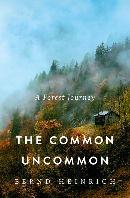 Book cover for Common Uncommon: A Forest Journey