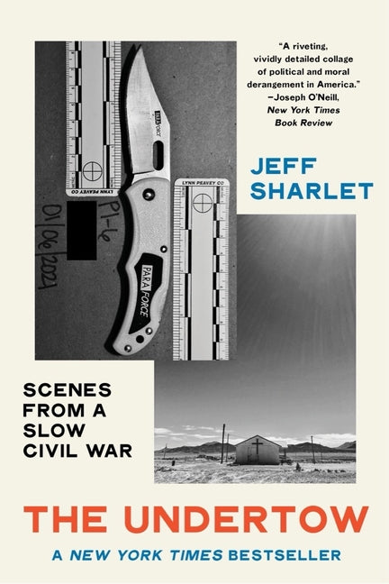 Book cover for Undertow: Scenes from a Slow Civil War
