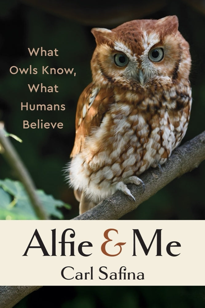 Book cover for Alfie and Me: What Owls Know, What Humans Believe