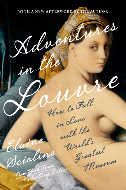 Book cover for Adventures in the Louvre: How to Fall in Love with the World's Greatest Museum
