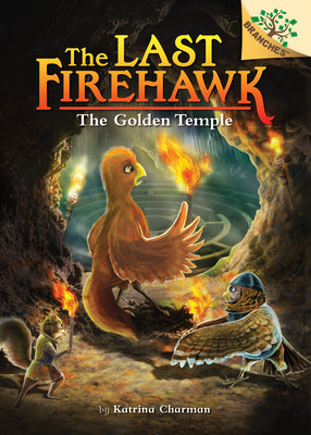 Book cover for The Secret Maze: A Branches Book (the Last Firehawk #10): Volume 10
