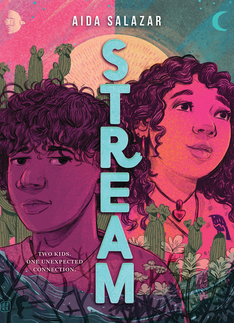 Book cover for Stream