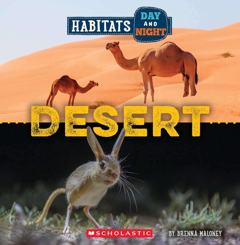 Book cover for Desert (Wild World: Habitats Day and Night)