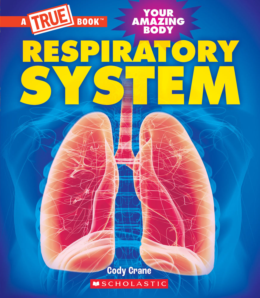 Book cover for Respiratory System (a True Book: Your Amazing Body)