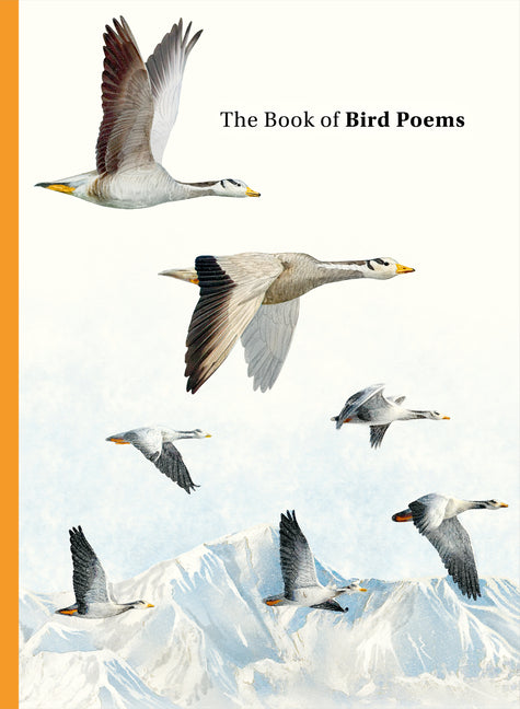 Book cover for Book of Bird Poems