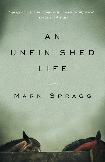 Book cover for Unfinished Life