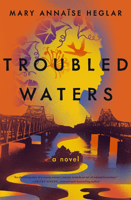 Book cover for Troubled Waters