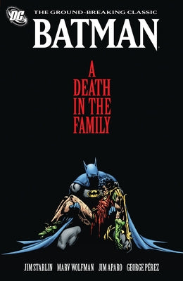 Book cover for A Death in the Family
