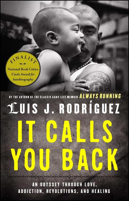 Book cover for It Calls You Back: An Odyssey Through Love, Addiction, Revolutions, and Healing
