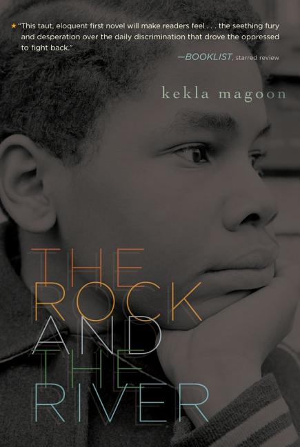 Book cover for The Rock and the River