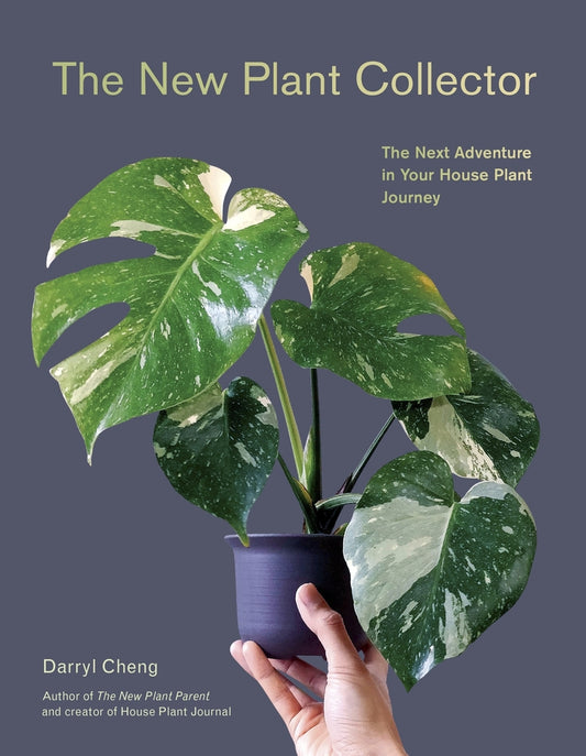 Book cover for The New Plant Collector: The Next Adventure in Your House Plant Journey