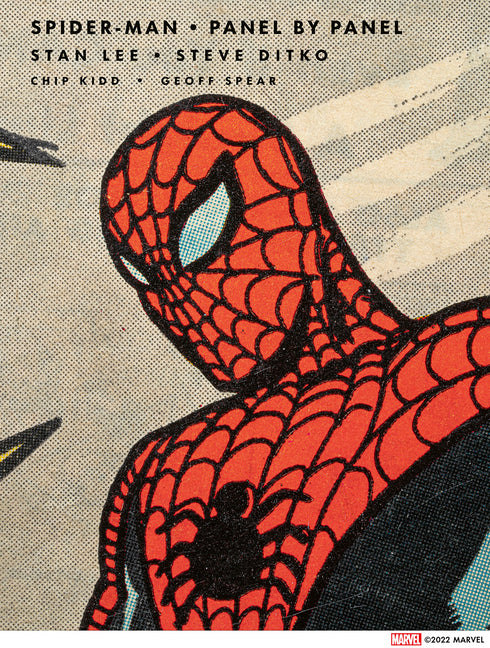 Book cover for Spider-Man: Panel by Panel